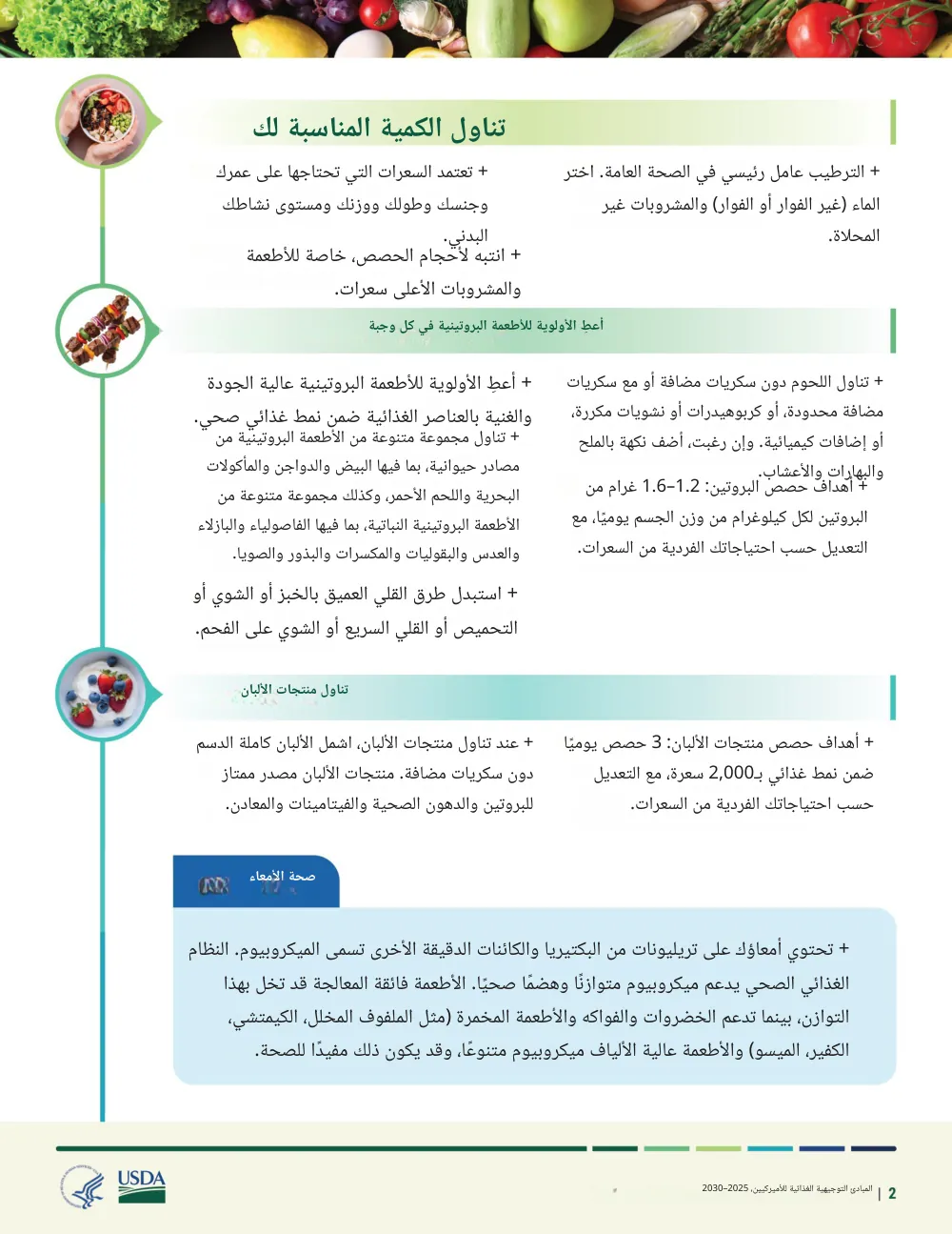 The same page translated into Arabic by Reglyph: headings such as “تناول الكمية المناسبة لك”, the two-column bullet lists, the blue “صحة الأمعاء” callout box, the food photos and the USDA/HHS logos stay in their original positions, with every paragraph set right to left