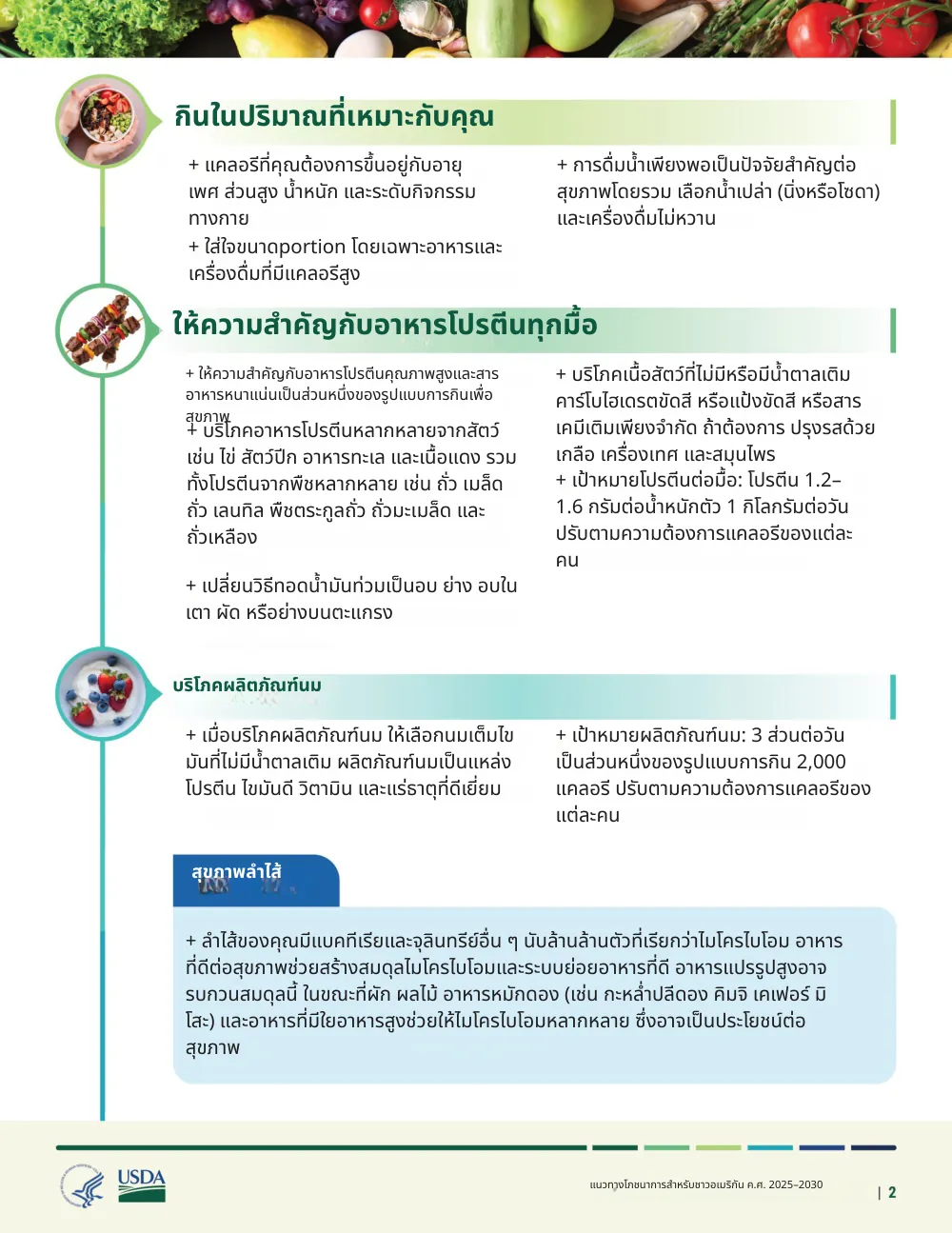 The same page translated into Thai by Reglyph: headings such as “กินในปริมาณที่เหมาะกับคุณ”, the two-column bullet lists, the blue “สุขภาพลำไส้” callout box, the food photos and the USDA/HHS logos stay in their original positions
