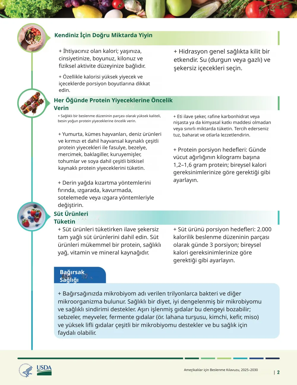 The same page translated into Turkish by Reglyph: headings such as “Kendiniz İçin Doğru Miktarda Yiyin”, the two-column bullet lists, the blue “Bağırsak Sağlığı” callout box, the food photos and the USDA/HHS logos stay in their original positions