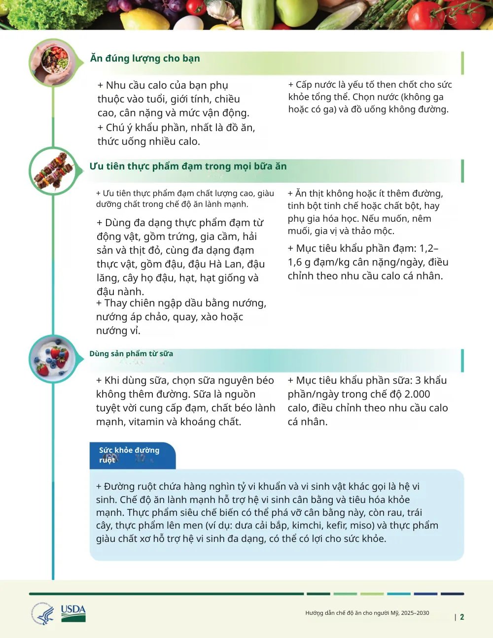 The same page translated into Vietnamese by Reglyph: headings such as “Ăn đúng lượng cho bạn”, the two-column bullet lists, the blue “Sức khỏe đường ruột” callout box, the food photos and the USDA/HHS logos stay in their original positions
